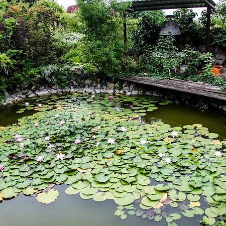 Pigal Panzio Bed & Breakfast Badacsonyors Luaran gambar